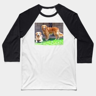 Two Golden Retriever Dogs Baseball T-Shirt